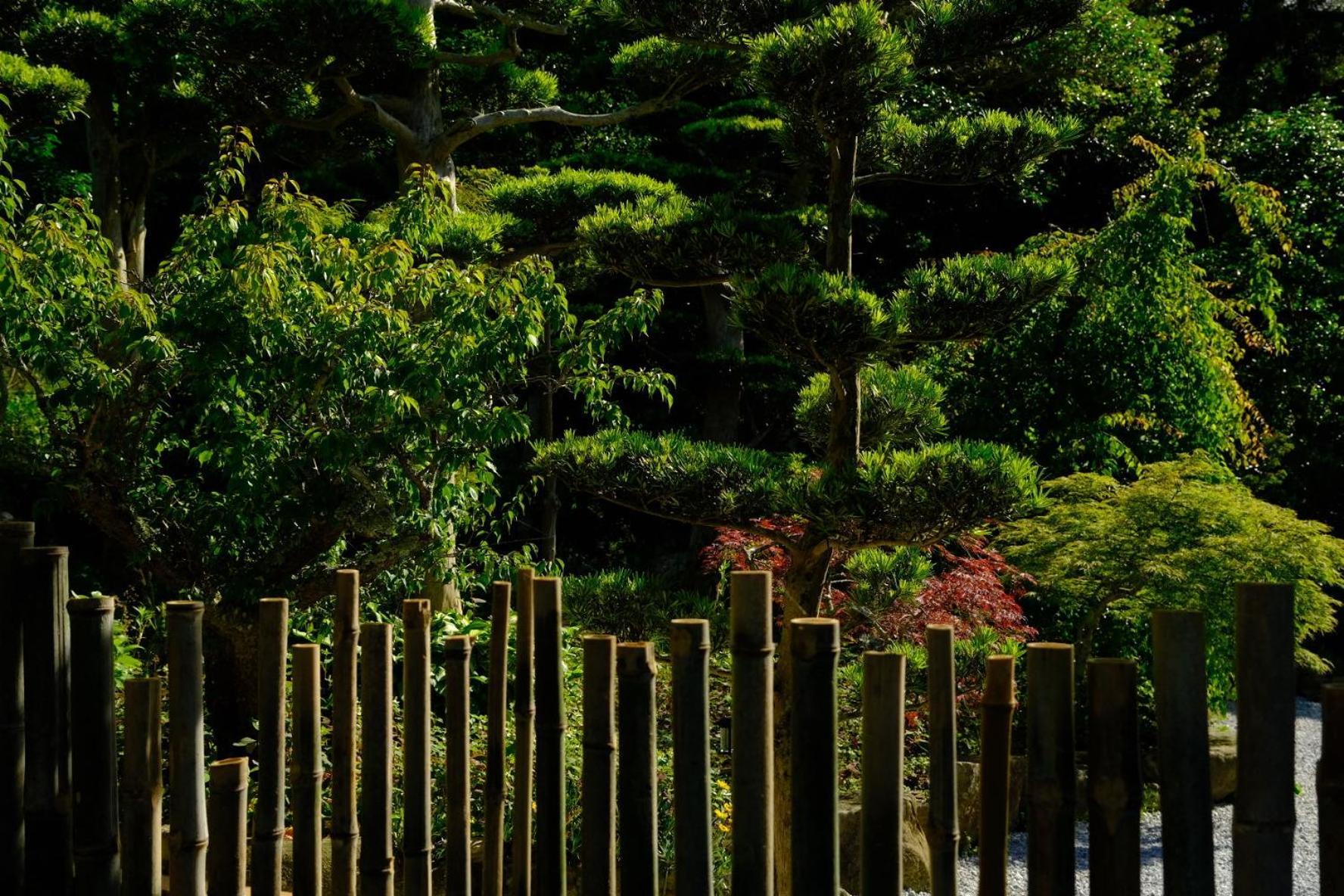 伊都山海渓 Itoshima Экстерьер фото