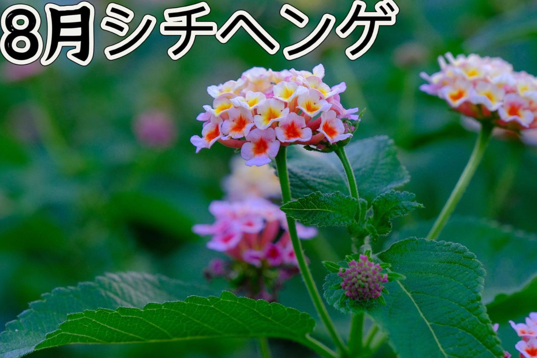 伊都山海渓 Itoshima Экстерьер фото