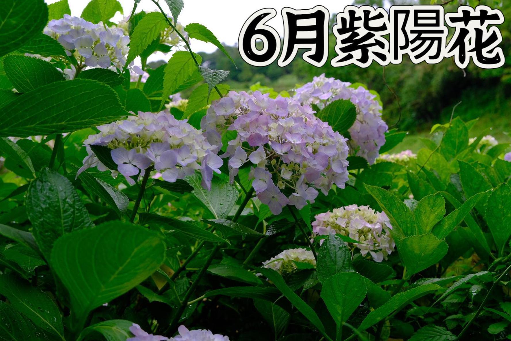 伊都山海渓 Itoshima Экстерьер фото