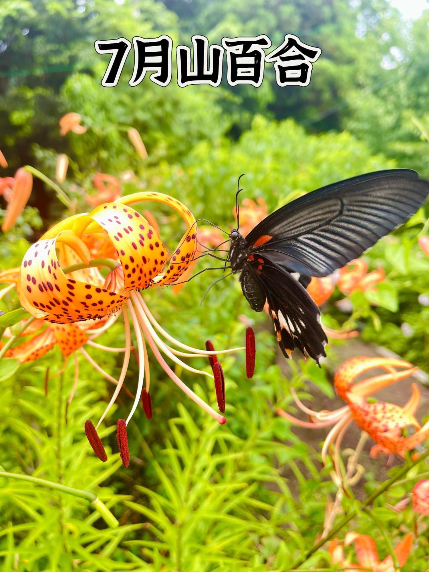 伊都山海渓 Itoshima Экстерьер фото