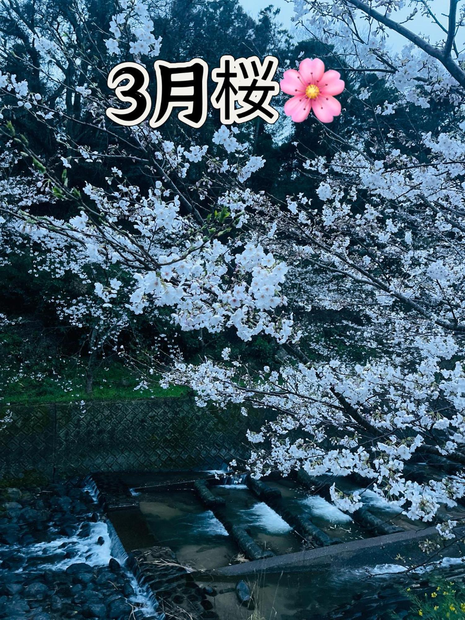 伊都山海渓 Itoshima Экстерьер фото