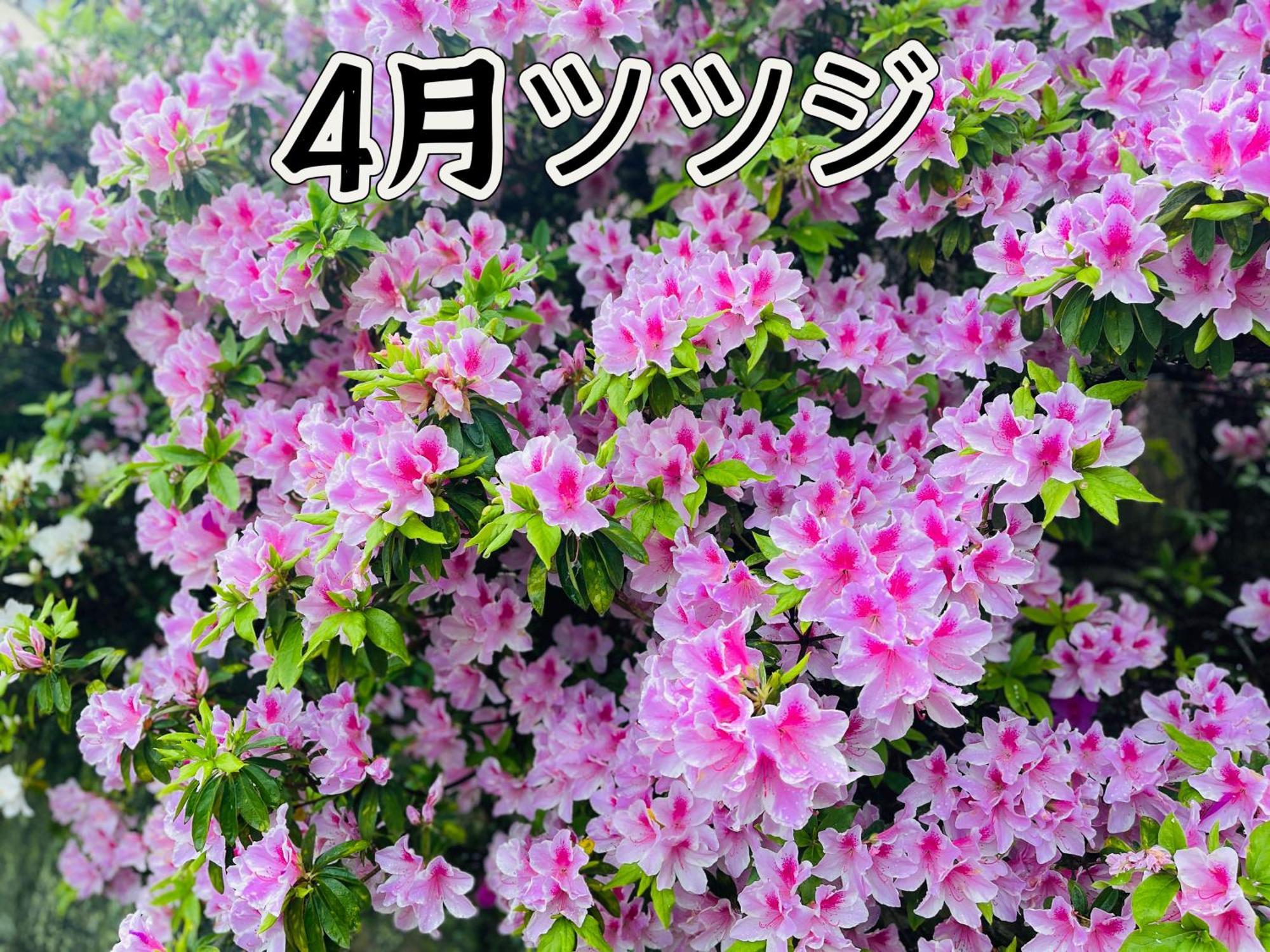 伊都山海渓 Itoshima Экстерьер фото